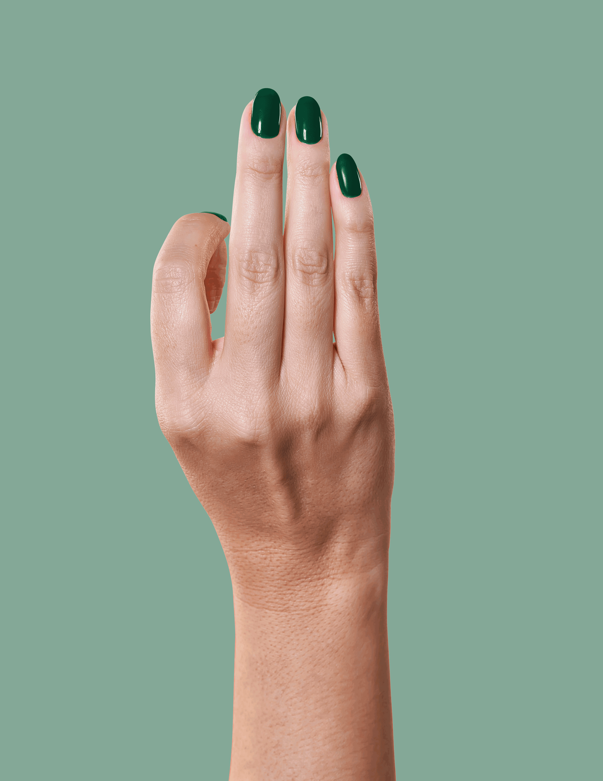 Emerald Green - Le Mini Macaron (7112414199976)