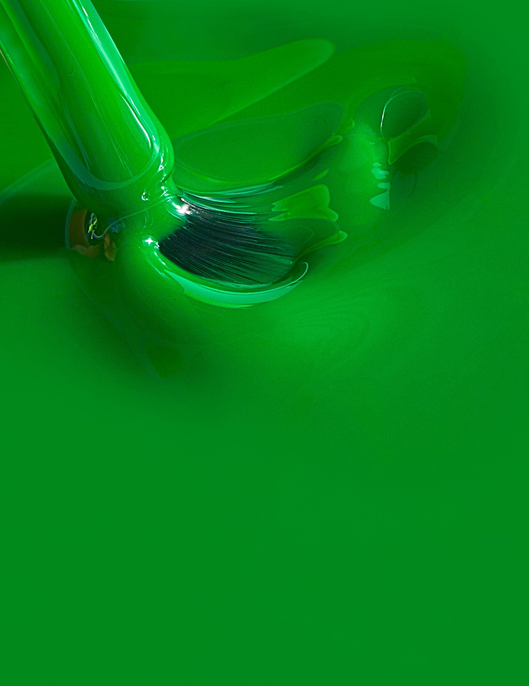 Ever Green (7525676187890)