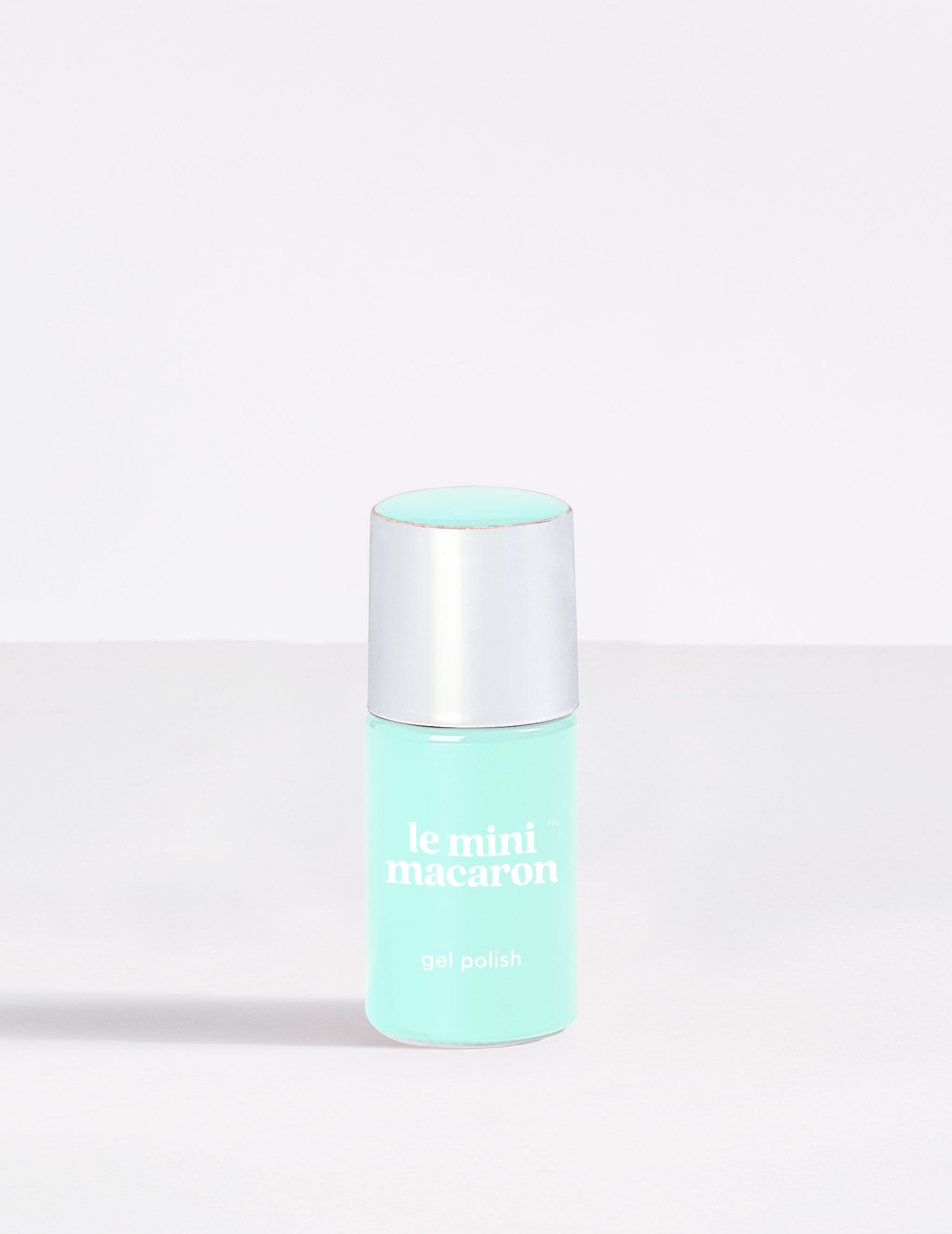 Mint Chocolate Chip (Cream) - Le Mini Macaron (4484783931437)