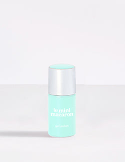 Mint Chocolate Chip (Cream) - Le Mini Macaron (4484783931437)