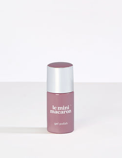 Rum Raisin - Le Mini Macaron (4484743888941)